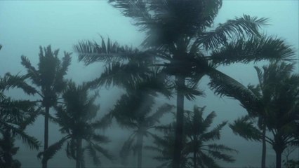 List of Storm Names for 2021 Hurricane Season Revealed