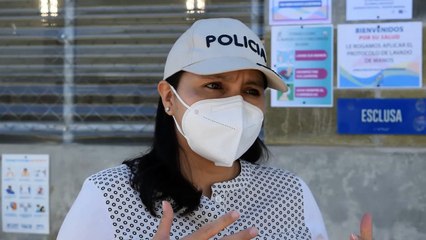 ext-viviana-boza-viceministra-de-justicia-100621