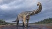New Dinosaur Species Discovered In Australia Is One Of World’s Biggest