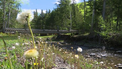 10 juin TOPO ER mois de l eau