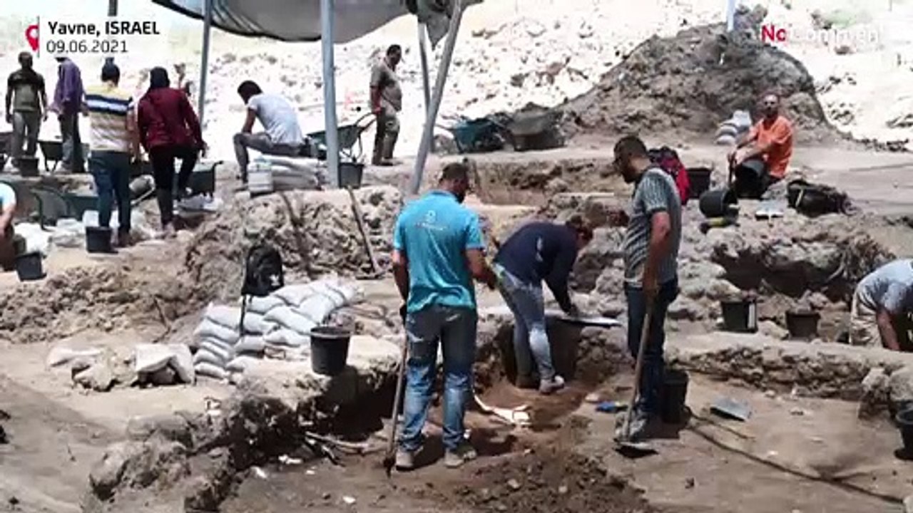 شاهد: العثور في إسرائيل على بيضة دجاج سليمة "عم...