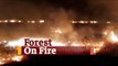 Huge Fire Near Mahanadi River Bank In Odisha’s Nayagarh | OTV News