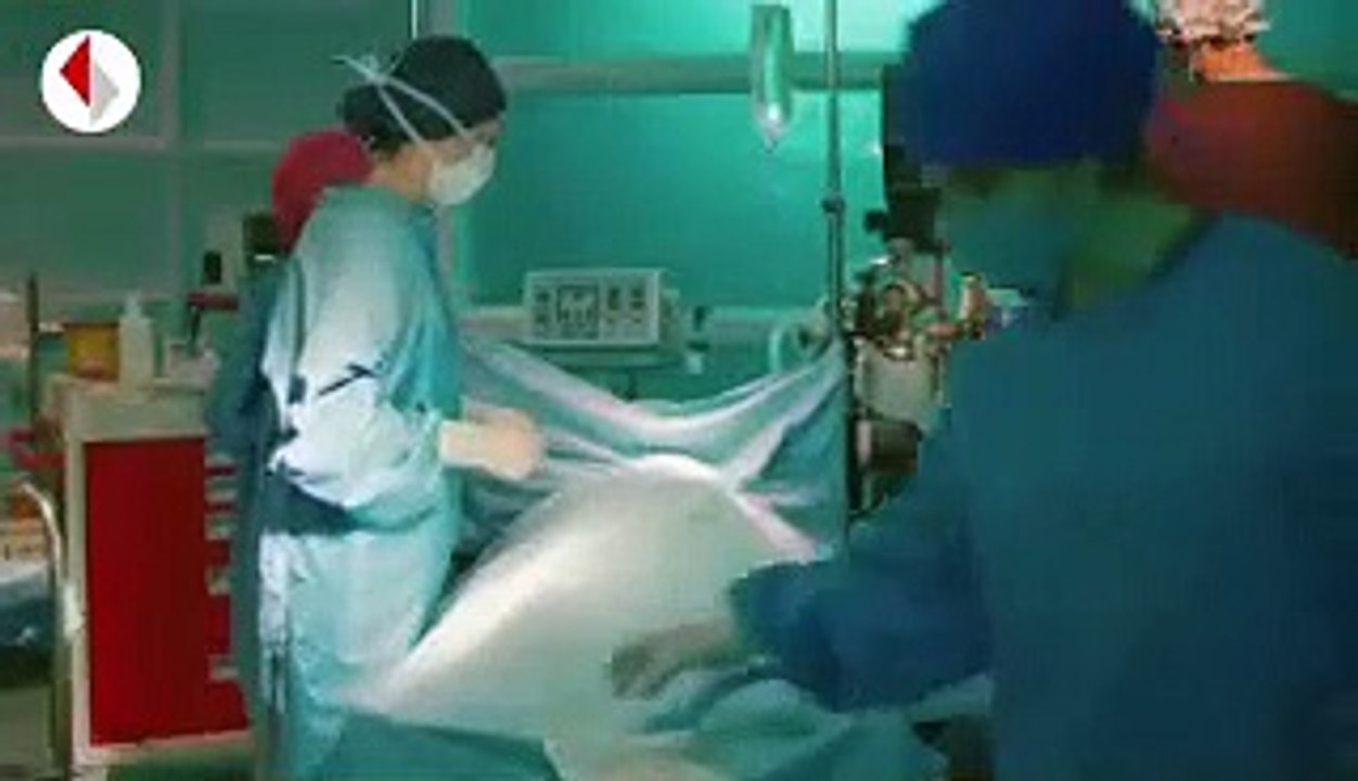 نبضات قلب الحلقة 7 مترجمة للعربية