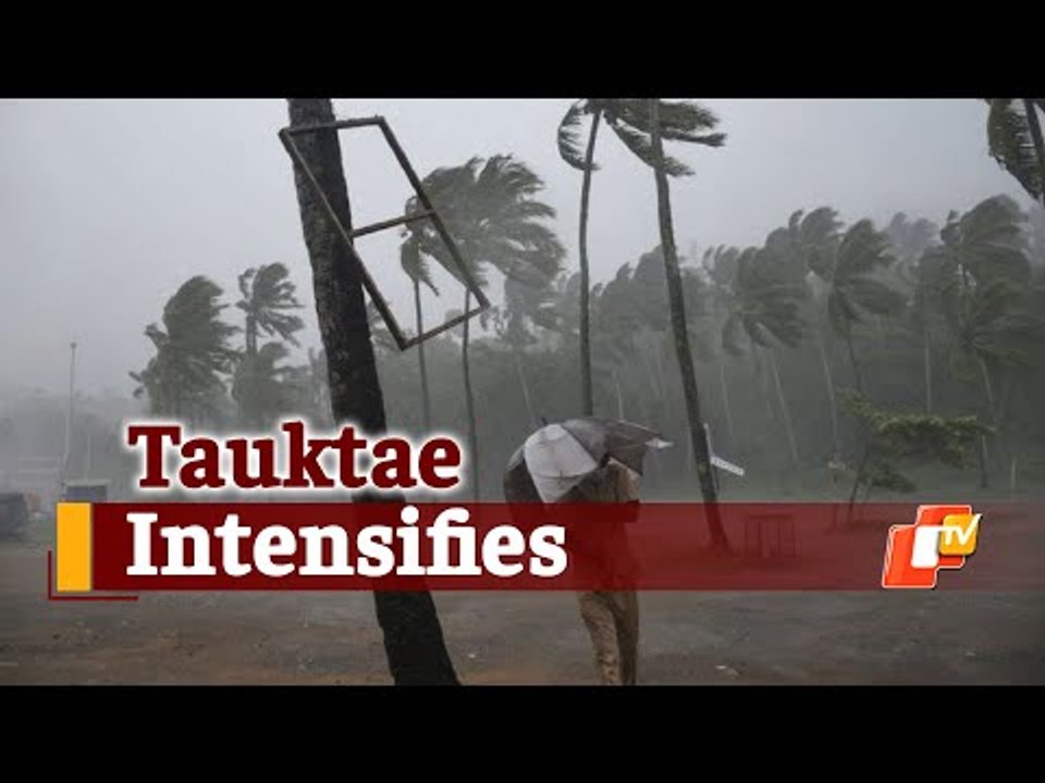 Cyclone Latest Update: Tauktae Intensifies Into Cyclonic Storm, NDRF Teams Join Rescue & Relief Ops