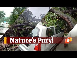 #CycloneTauktae Impact: Heavy Winds Batter Gujarat Coast | OTV News