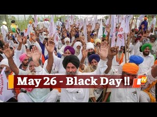 Farmers' Protest: SKM Calls For Nationwide Stir On May 26, Opposition Parties Extend Support