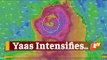 #CycloneYaas To Intensify Into Very Severe Cyclonic Storm By Evening Of May 25 | OTV News
