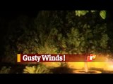 Watch: Strong Winds, Heavy Rainfall Lash Odisha's Chandbali Ahead Of #CycloneYaas Landfall
