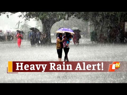 Low Pressure Likely Around June 11, IMD Predicts Heavy Rainfall In Odisha | OTV News
