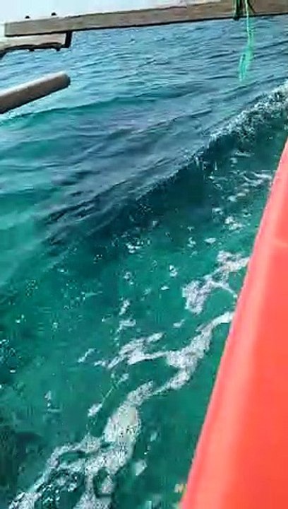 Keindahan Laut