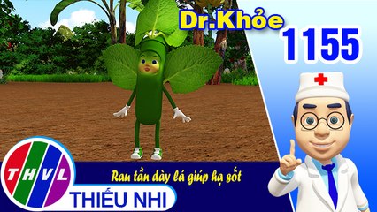 Dr. Khỏe - Tập 1155: Rau tần dày lá giúp hạ sốt