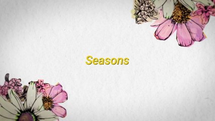 Maroon 5 - Seasons