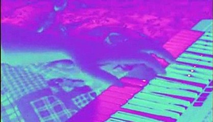 Century - Lover why 1985