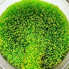Satisfying Asmr Slime Hacks And Kinetic Sand Cutting That Will Help You To Relax
