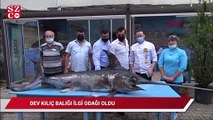 Saros Körfezinde yakalanan dev kılıç balığı ilgi gördü