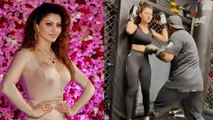 Bollywood Actress Urvashi Rautela ने क्यों खाए पेट में मुक्के, Video हुआ तेजी से Viral | FilmiBeat