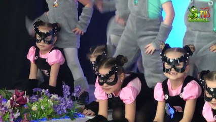 Angels Dance - Şoriceii şi Pisicuțe