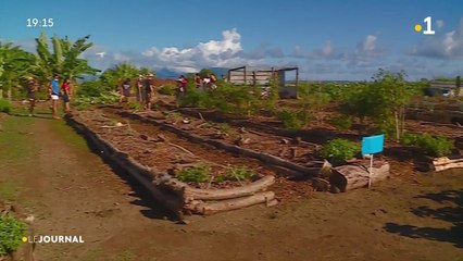Les jardins partagés d'hotuarea