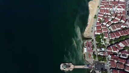 Çınarcık'ta müsilaj rüzgarın etkisiyle dağılıyor