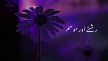 New video Latest whatsapp status video Urdu tatus video QustatusSotes