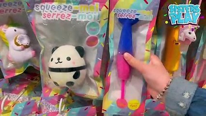 Hundred Dollars Fidget Shopping Challenge With Sisters Play Toys