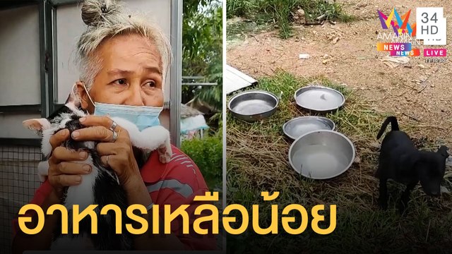 นางฟ้าหมาแมวเจอพิษโควิด ไร้งานต้องลดอาหารของสัตว์ | ข่าวเที่ยงอมรินทร์ | 11 มิ.ย.64