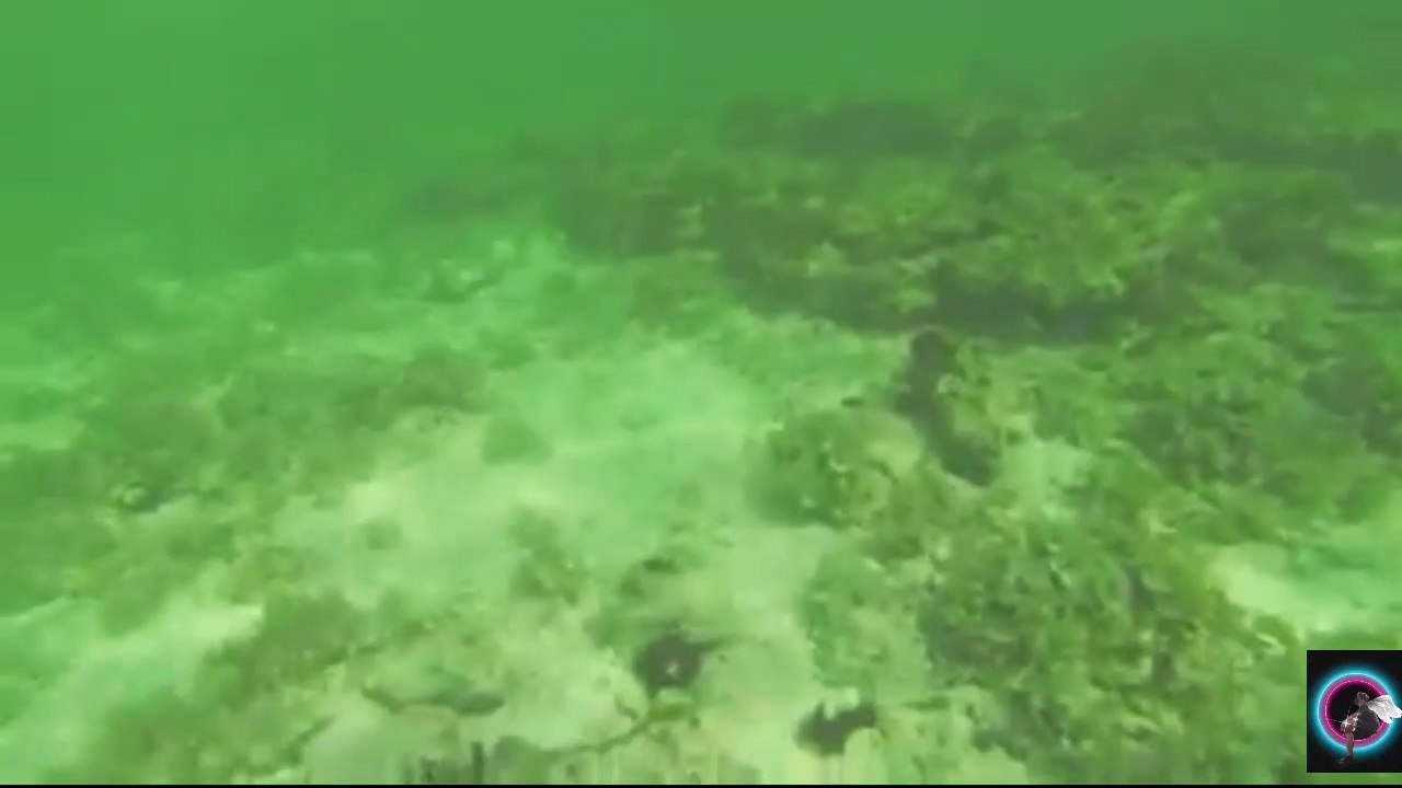 Fuwairit Beach Doha Qatar / Beautiful Beach in Doha Qatar / Snorkeling in Fuwairit Beach Dailymotion