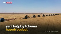 Türkiye'nin en büyük tarım işletmesinde hasat başladı