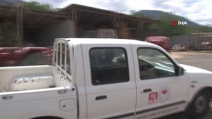 Erzincan'da hayvanlar kenelere karşı ilaçlanıyor