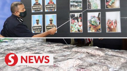 Download Video: Cops arrest four drug syndicate members, seize drugs worth almost RM2mil