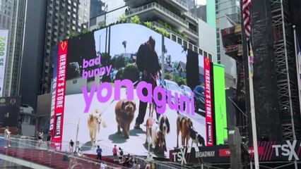 뉴욕 타임스퀘어에 한복 광고...문화유산 방문 캠페인 시동 / YTN
