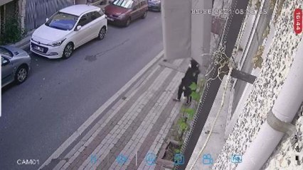 Üçüncü kattan üstüne kanepe  düşüyordu... Kadının ölümden döndüğü anlar kamerada