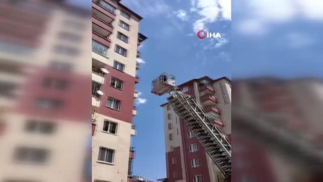 Son dakika haberleri: İplere dolanan kırlangıç itfaiye ekipleri tarafından kurtarıldı