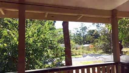 Island Life - Episode 368