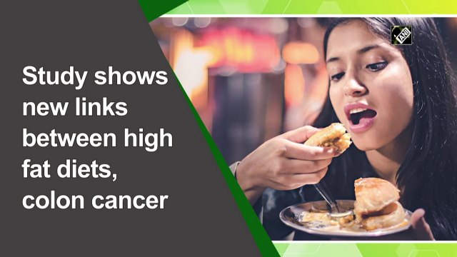 Study shows new links between high fat diets, colon cancer