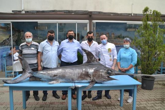 Saros Körfezi'nde yaklaşık 3 metre boyunda 88 kilogram ağırlığında kılıç balığı yakalandı