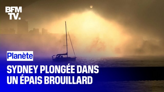 Le pont et l'opéra de Sydney enveloppés dans un épais brouillard