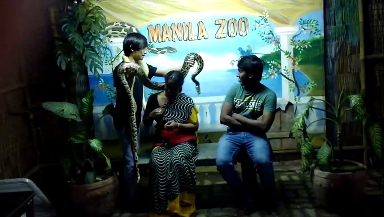 manila snakes