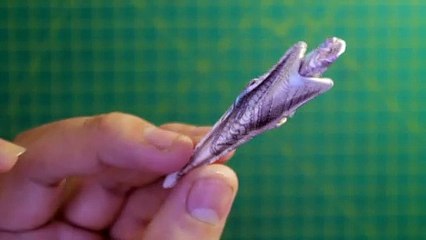 Demo money origami parrot