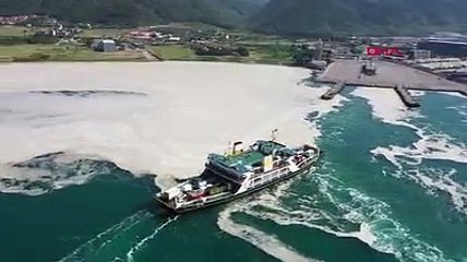 Müsilaj Yalova’yı sardı