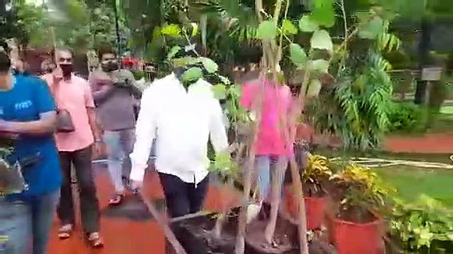women's neem peepal vat vriksh plantation in garden