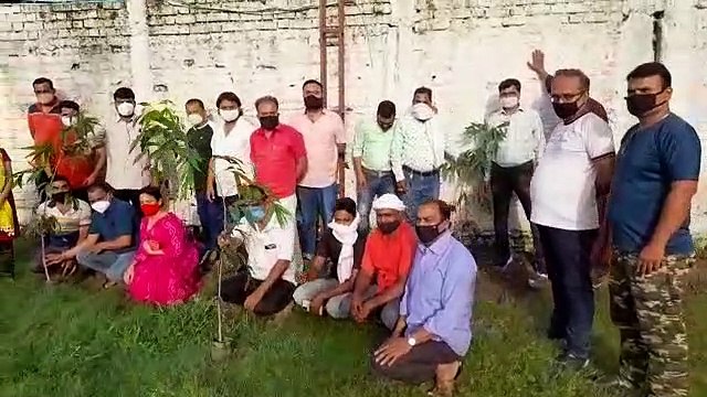 women's neem peepal vat vriksh plantation in garden