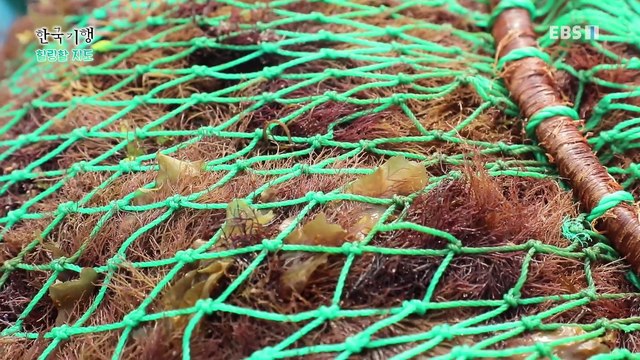 한국기행 - Korea travel_힐링할 지도 5부- 거제에서 힐링할 거제_#002