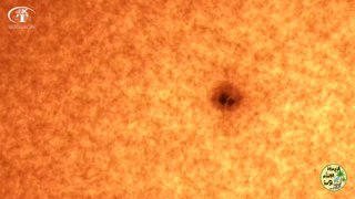 Seeing a huge sunspot for the first time | Microscope World