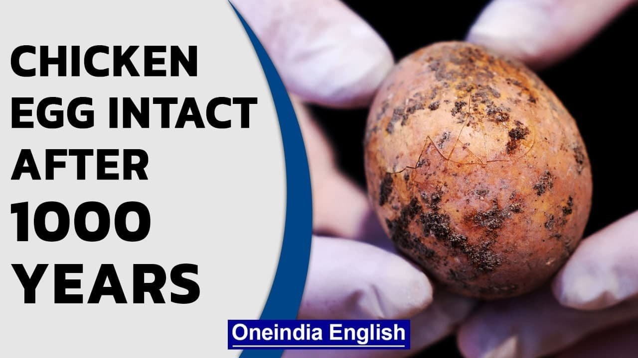 Israel: Chicken egg intact even after 1000 years in human faeces | Oneindia News