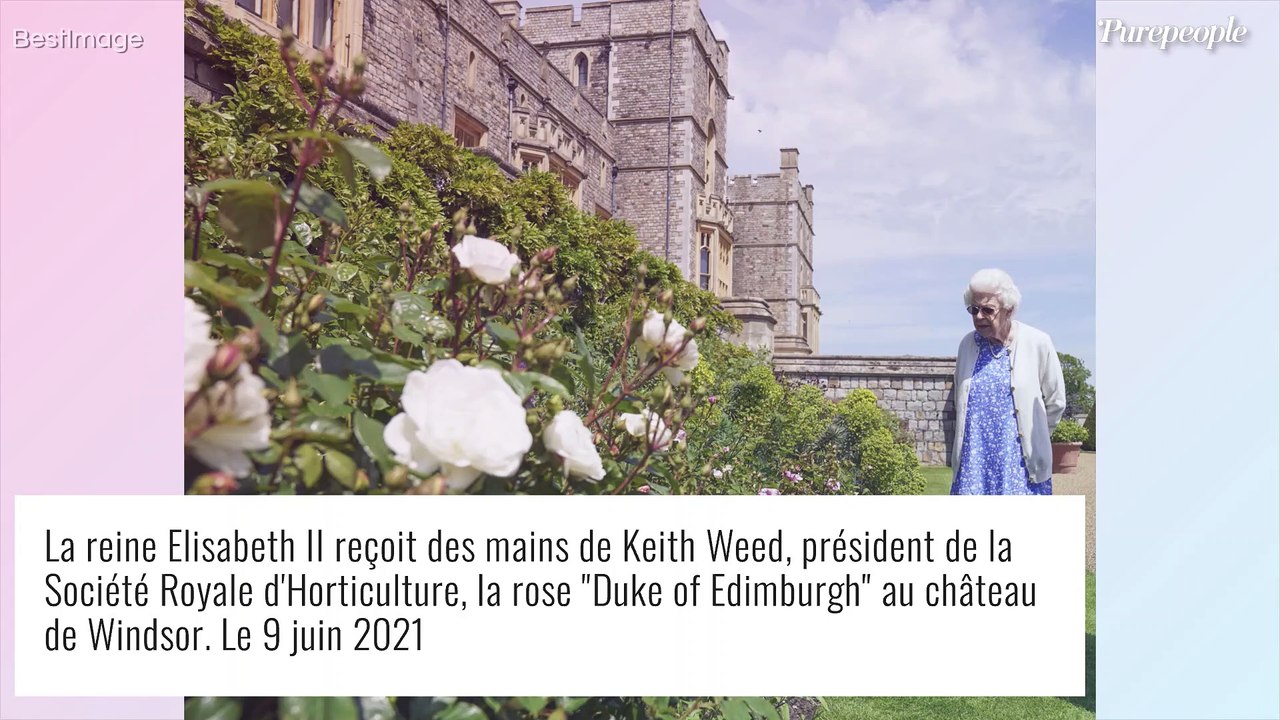 Elizabeth II au G7 : Kate, William, Charles et Camilla de la partie ! 1ère réunion de famille en 6 mois