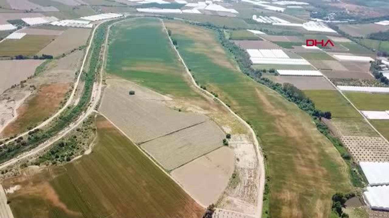AÜ ZİRAAT, BUĞDAY HASADINDA REKOR KIRDI