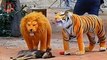 Troll Prank Dog & Fake Lion And Fake Tiger Prank To Dog | Videos Troll 2021