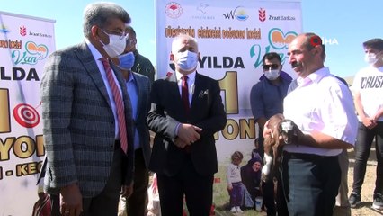 Devlet teşvikleriyle pandemi döneminde hayvancılığa ilgi arttı