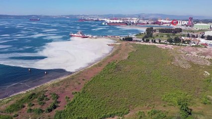 Yalova kıyılarında müsilaj görülmeye devam ediyor